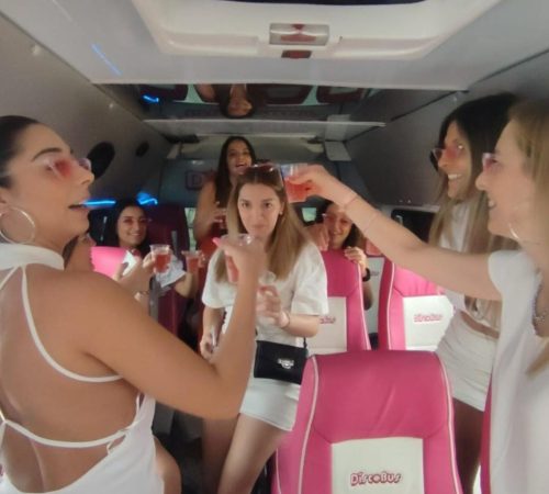 disco bus party airport transfers limo marbella